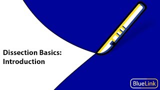 Dissection Basics  Introduction [upl. by Studnia]