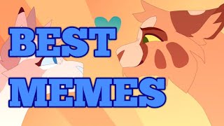 Furry Meme Compilation [upl. by Eeb329]