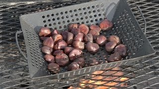 From the Pit How to Roast Chestnuts on an Open Fire [upl. by Ppilihp425]