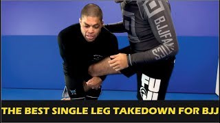 The Best Single Leg Takedown For Brazilian Jiu Jitsu by Andre Galvao [upl. by Doyle444]