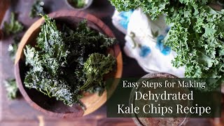 Dehydrated Kale Chips [upl. by Mosra150]