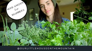 HERB GARDENS BEGINNERS GUIDE  HOW TO  GARDEN BASICS [upl. by Mellie754]