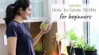 Plants you can grow from Kitchen Spices  Ep 1  Grow with me [upl. by Zilla42]