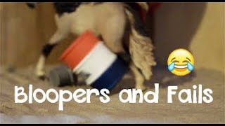 Schleich Filming Bloopers amp Fails 2019 [upl. by Yromem]