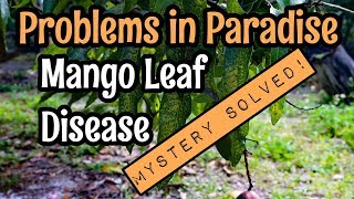 Problems in Paradise Mango Leaf Disease Mystery Solved [upl. by Rieger]