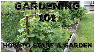 Gardening 101 How To Start A Garden [upl. by Lissi]