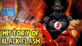 Who is The Black Flash  History of Black Flash [upl. by Cousin]