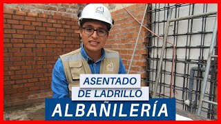 CÓMO ASENTAR LADRILLO CORRECTAMENTE  TIPS CONSTRUCTOR  ALBAÑILERIÁ [upl. by Ettenim411]