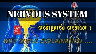 what is nervous system   CLASSIFICATION OF NERVOUS SYSTEM  NERVOUSSYSTEM  IN TAMIL [upl. by Reve]