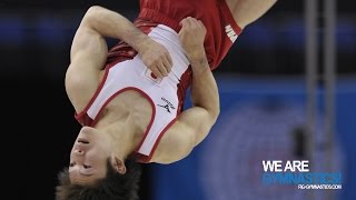 Artistic Worlds 2011 TOKYO  Mens Apparatus Final Floor Pommel Horse Rings  We are Gymnastics [upl. by Hinch227]