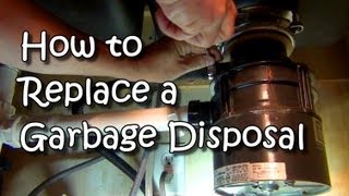 How to Replace a Garbage Disposal [upl. by Ateekahs]