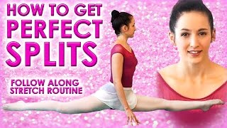 Perfect SPLITS Flexibility Stretch Challenge How To Do The Splits Class for Beginners Exercises [upl. by Zeph439]