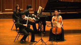 Tchaikovsky Piano Trio in A minor Op 50 [upl. by Colbert]