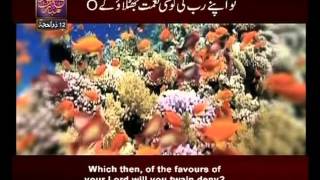 Surah Ar Rehman n° 55 Urdu amp English Translate By Qtv [upl. by Einnos6]