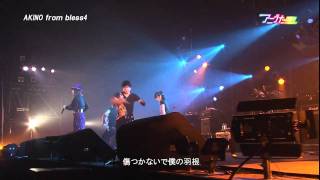 LIVE アニうた KITAKYUSHU 2011 AKINO from bless4 [upl. by Roehm]