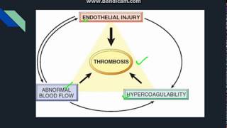 Thrombosis [upl. by Juana462]