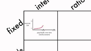 Learning Schedules of Reinforcement [upl. by Grosz]