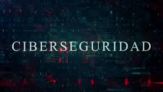 Privacidad de datos y ciberseguridad [upl. by Onaireves754]