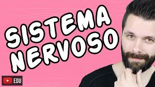 SISTEMA NERVOSO  FISIOLOGIA  Aula  Biologia com Samuel Cunha [upl. by Zelma]