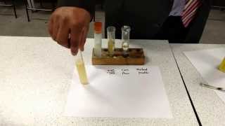 Emulsion stability test [upl. by Ordnasil]