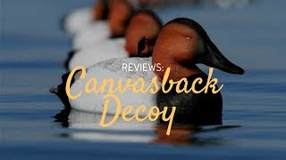 Higdon Canvasback Duck Decoys  First Look  Unboxing [upl. by Lidstone305]