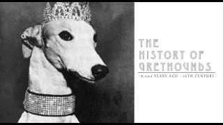 History of Greyhounds Part 1 [upl. by Yong559]