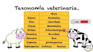 Taxonomía Veterinaria [upl. by Deny]