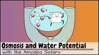 Osmosis and Water Potential Updated [upl. by Eillek169]