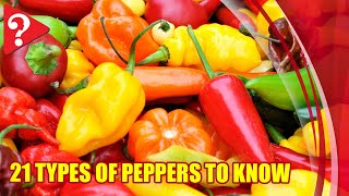 21 Types of Peppers to Know [upl. by Ecnaralc560]