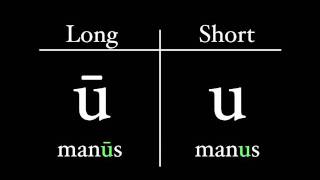 The Latin Alphabet  Vowel Pronunciation [upl. by Einniw]