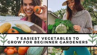 7 Easiest To Grow Vegetables For Beginners  Gardening 101 [upl. by Maze72]