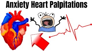 Heart Palpitation Symptoms Caused By Anxiety SCARY FEELING [upl. by Anyahc]