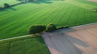 Drone Footage Agriculture Land  Aerial Views Croplands [upl. by Jazmin]