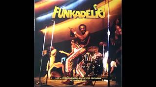 Funkadelic  Maggot Brain Live 1971 [upl. by Aihtennek420]