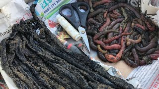 Beach Fishing BAIT CHALLENGE  Fresh Worm v Frozen Worm [upl. by Yalcrab]