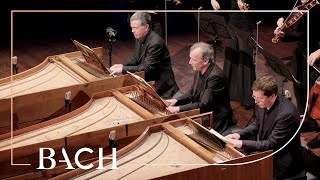 Bach  Concerto for three harpsichords in D minor BWV 1063  Mortensen  Netherlands Bach Society [upl. by Agler]