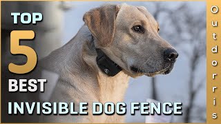 Top 5 Best Invisible Dog Fence Review in 2025 [upl. by Cheatham]