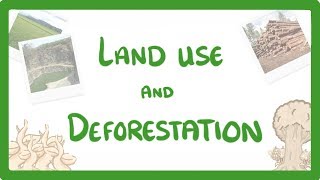 GCSE Biology  Land Use  Deforestation amp Peat Bogs 92 [upl. by Goto]