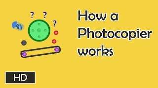 How photocopiers work [upl. by Bacon266]