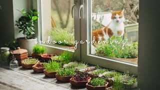 35 Grow Vegetables Indoors Microgreens amp Sprouts  From Seed to Harvest [upl. by Kiyoshi37]