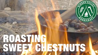 Campfire Cooking  How to Roast Chestnuts [upl. by Ivetts]