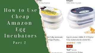 Cheap Amazon 12 Egg Incubator How To Use [upl. by Leizahaj388]