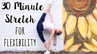 30 Minute Full Body Stretch for Flexibility [upl. by Chenee]