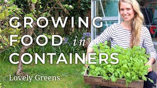 Quick Start Guide to Growing Food in Containers [upl. by Yrral]