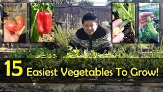 The 15 Easiest Vegetables To Grow For Beginners [upl. by Nivalc]