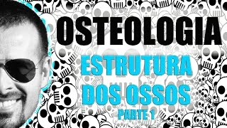 Sistema Esquelético  Estrutura dos ossos longos Parte 12  Anatomia Humana  VídeoAula 006 [upl. by Eiramanel]