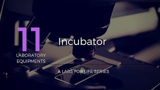 Incubator [upl. by Erodavlas]