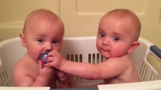 Twins Share A Pacifier  Cutest Moments  KYOOT [upl. by Masterson]