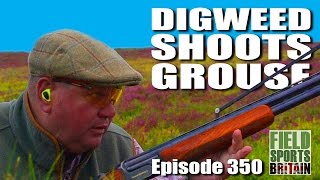 Fieldsports Britain  Digweed Shoots Grouse [upl. by Acirehs]