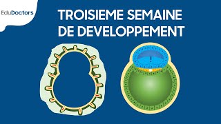 Troisième semaine de développement  Embryologie générale [upl. by Navarro533]